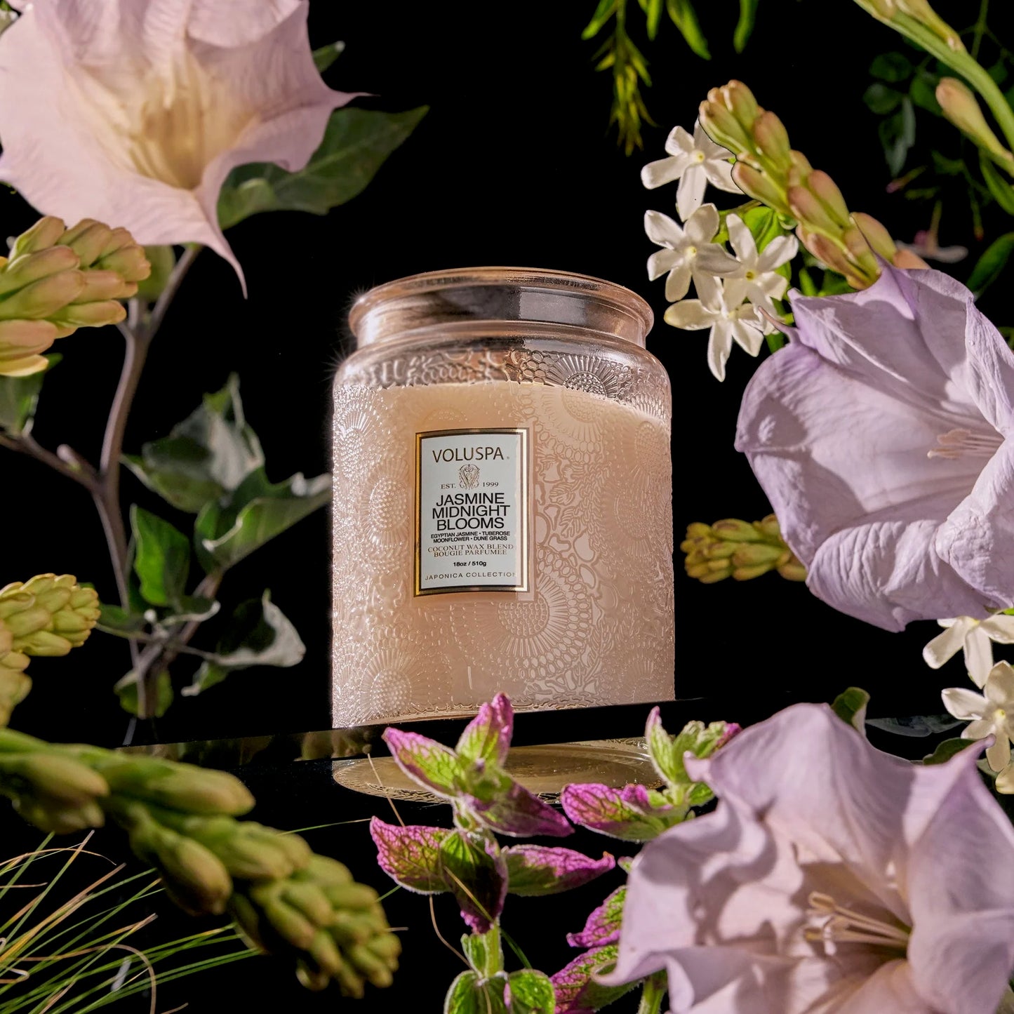 Voluspa Jasmine Midnight Bloom Candle