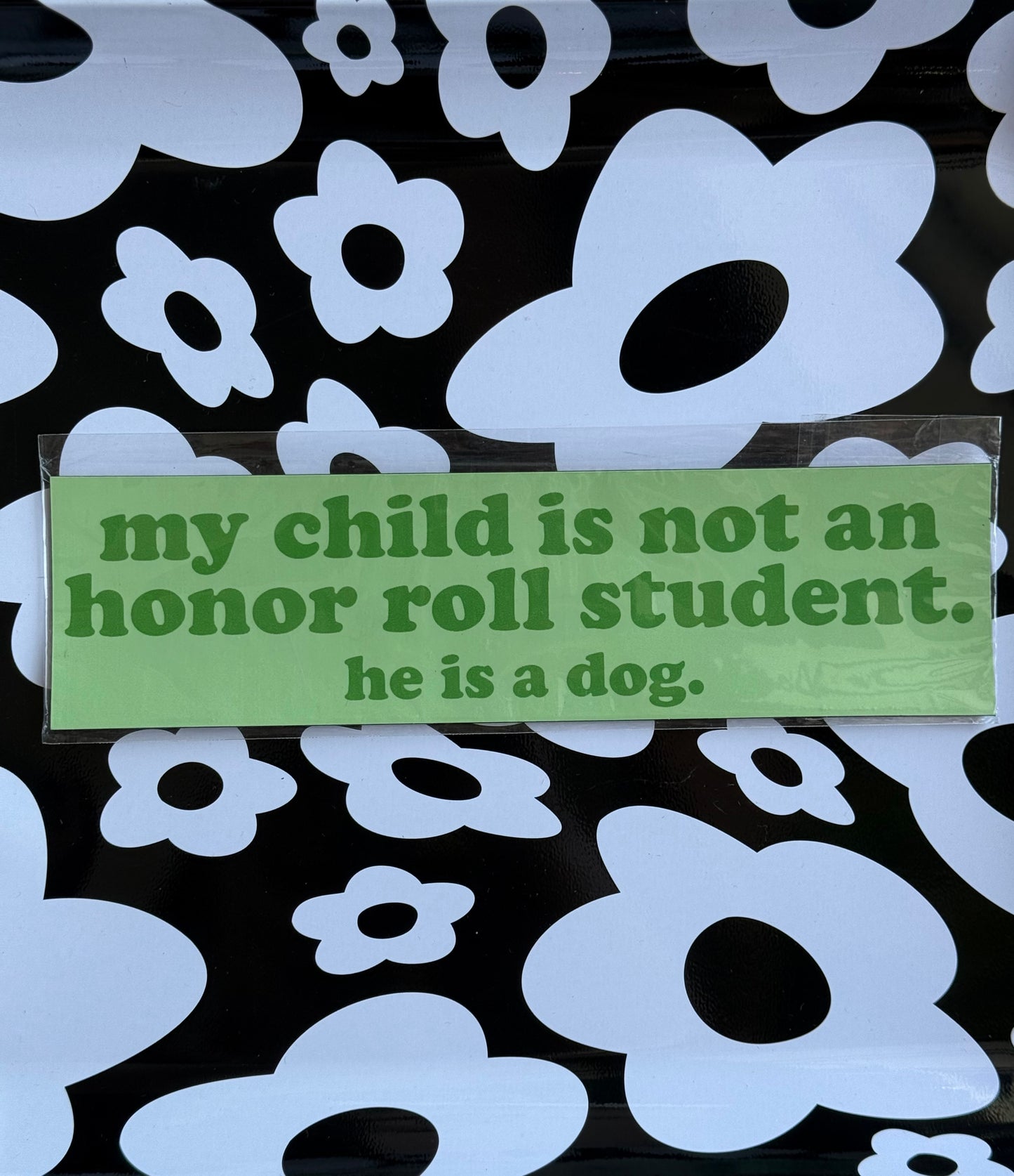 Car Magnets * Multiple Options *