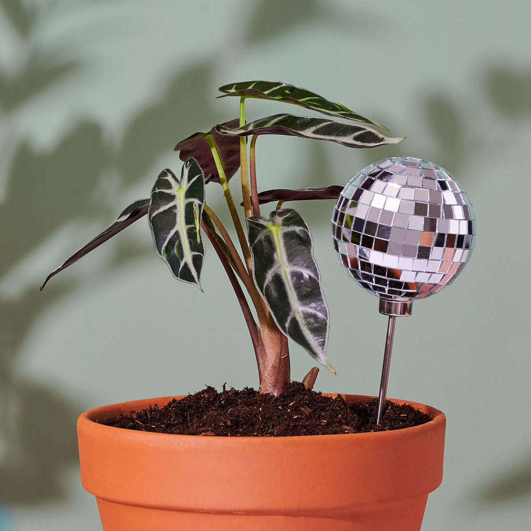 Disco Ball Decorative Plant Stakes- * Multiple Shapes *