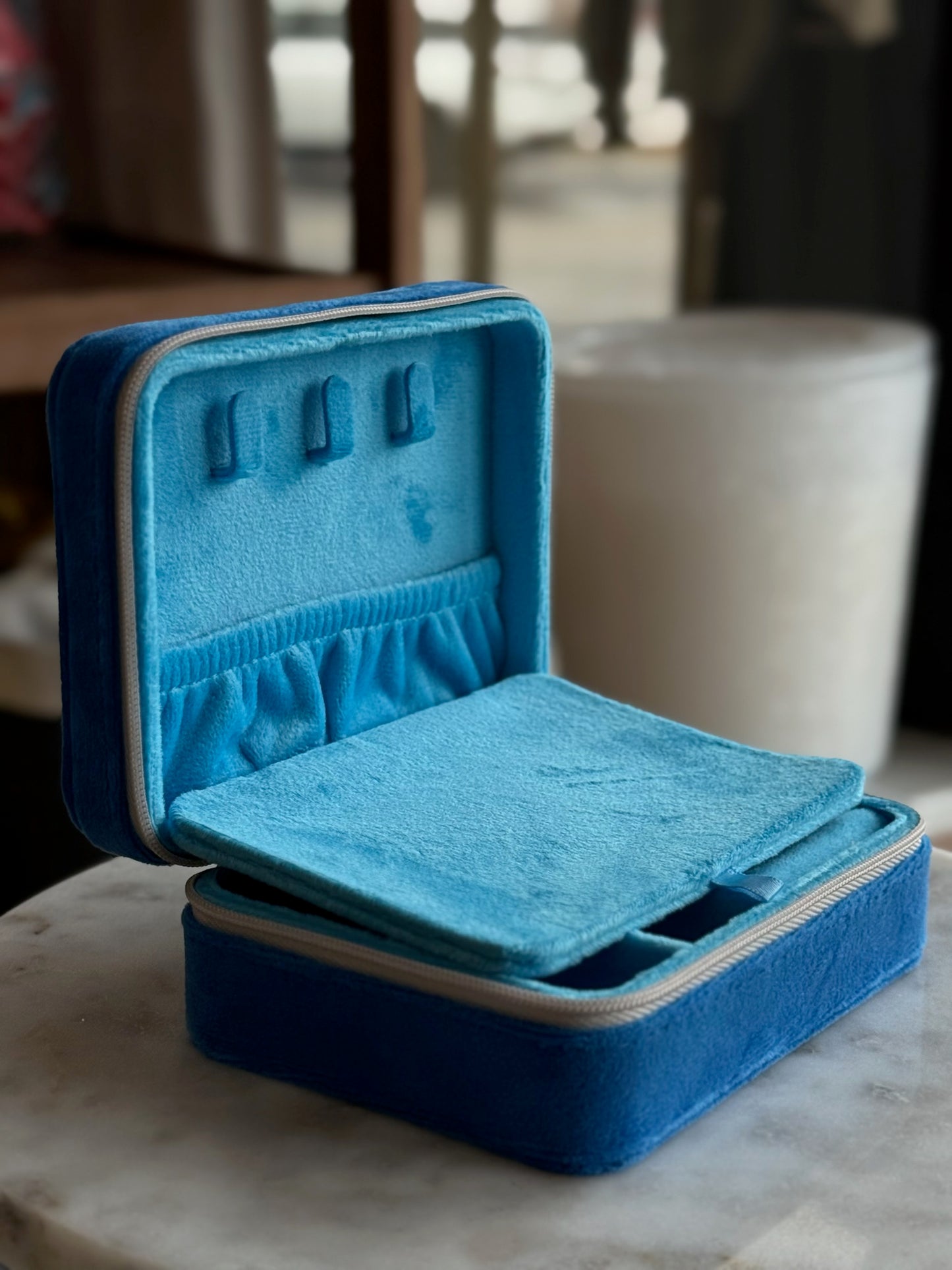 Sardine Jewelry Zip Case