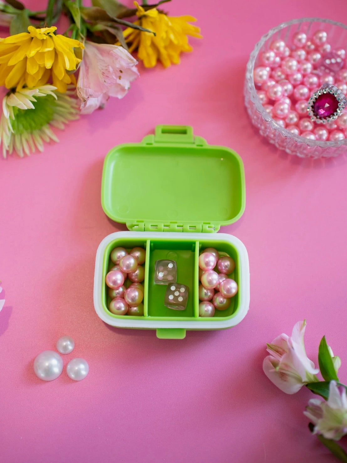 Guinea Pig Pill Case