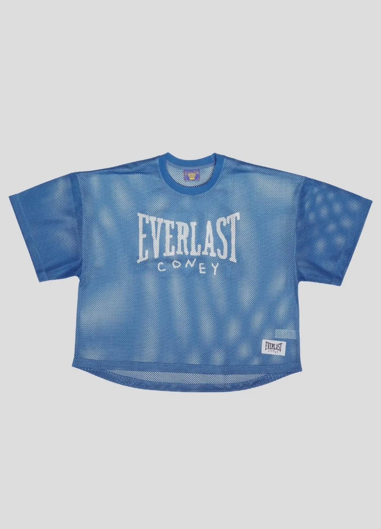 Coney Island Picnic x Everlast Athletic Mesh Jersey - Blue