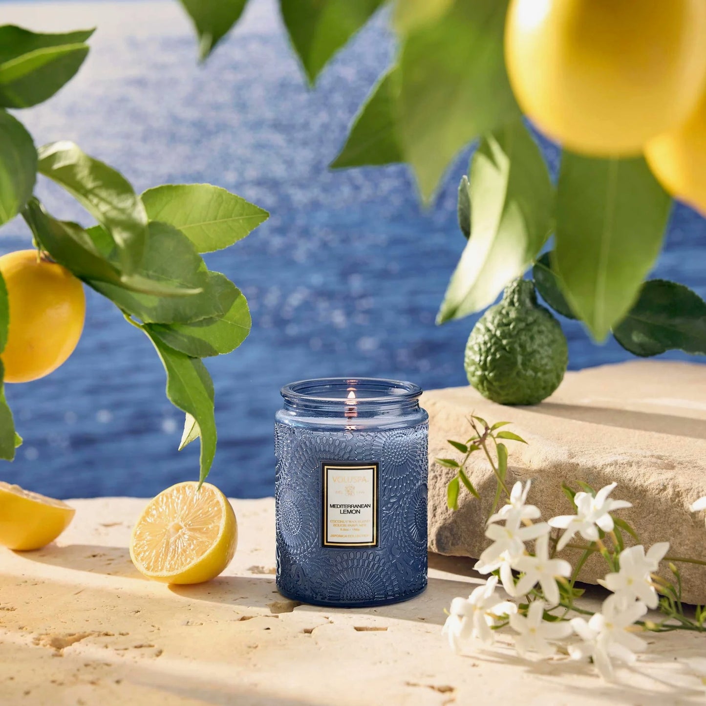 Voluspa Mediterranean Lemon Candle - * Multiple Sizes *