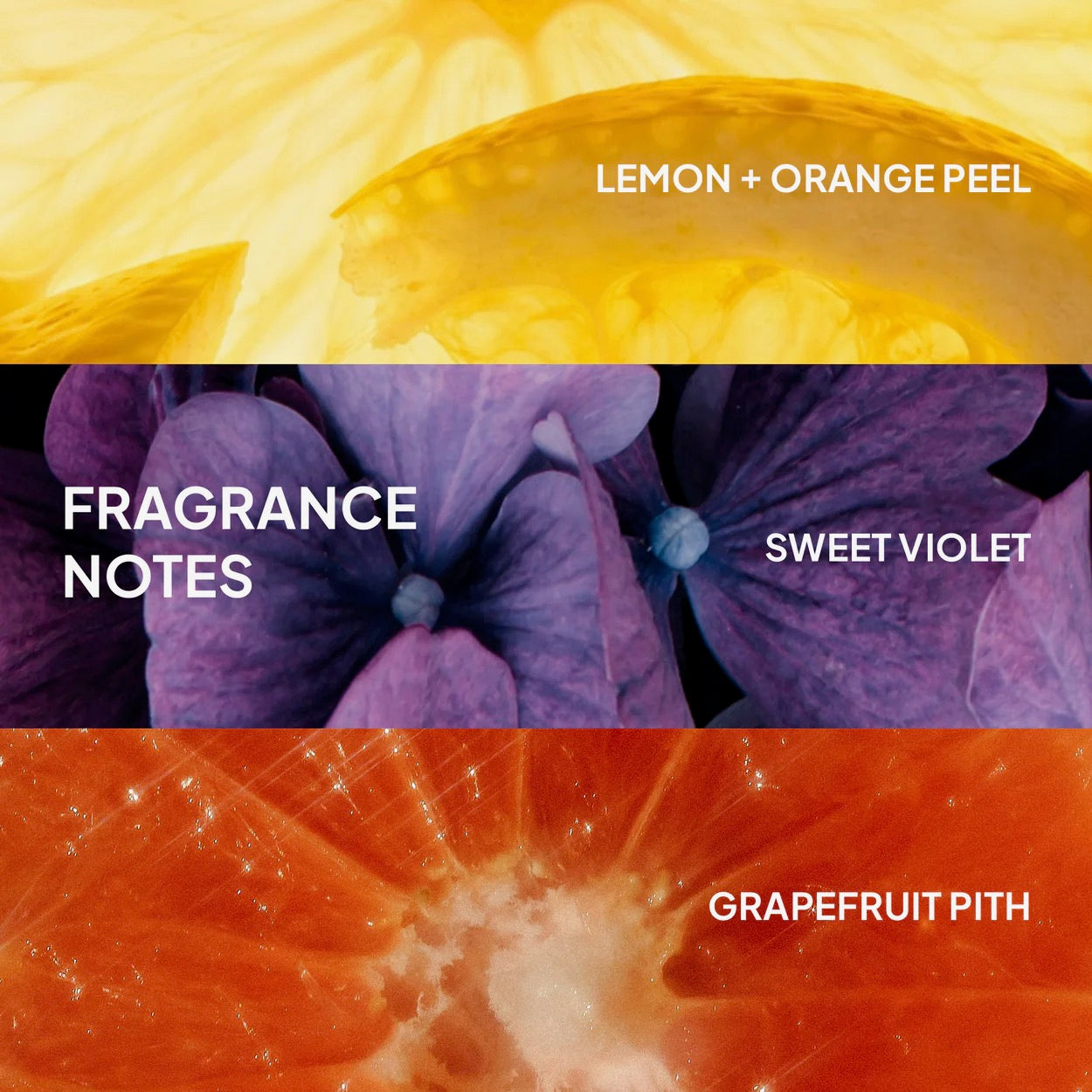 Verb Ghost Shampoo & Conditioner
