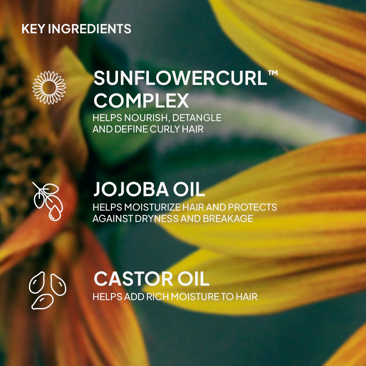Verb Curl Shampoo & Conditioner