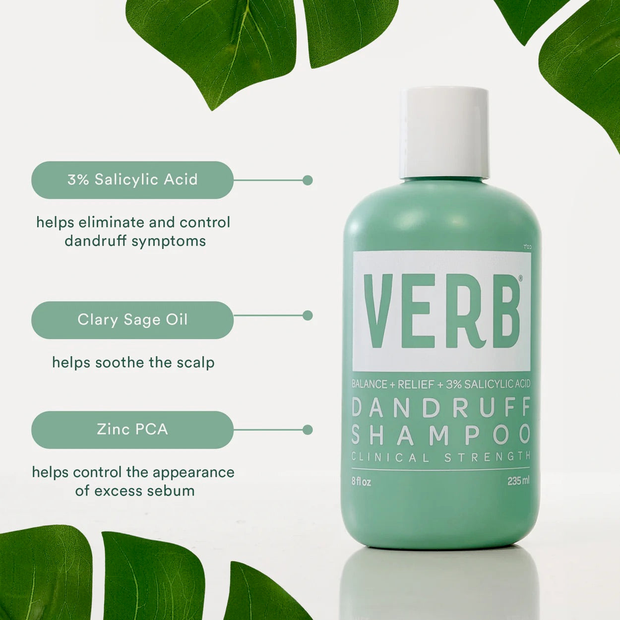 Verb Dandruff Shampoo