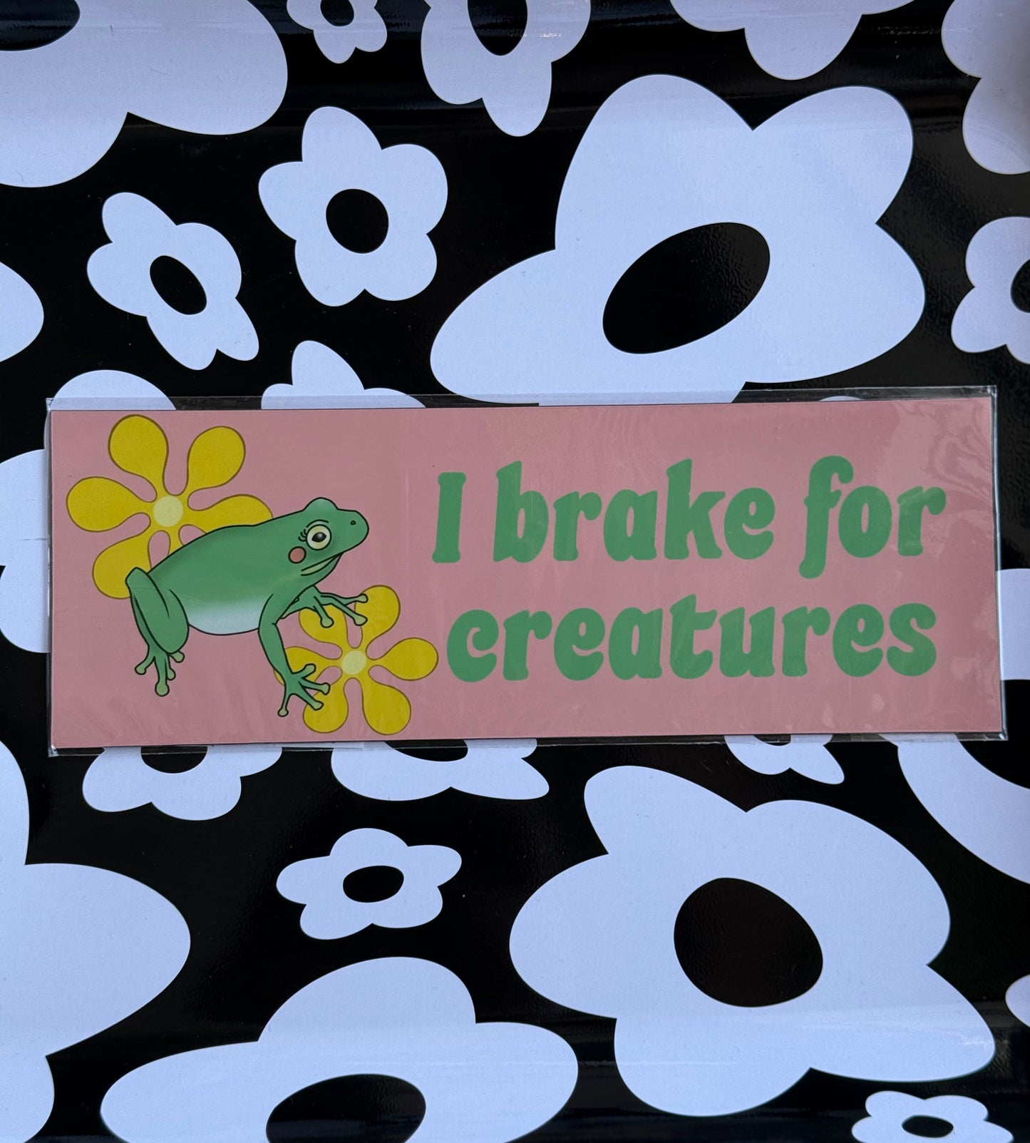 Car Magnets * Multiple Options *