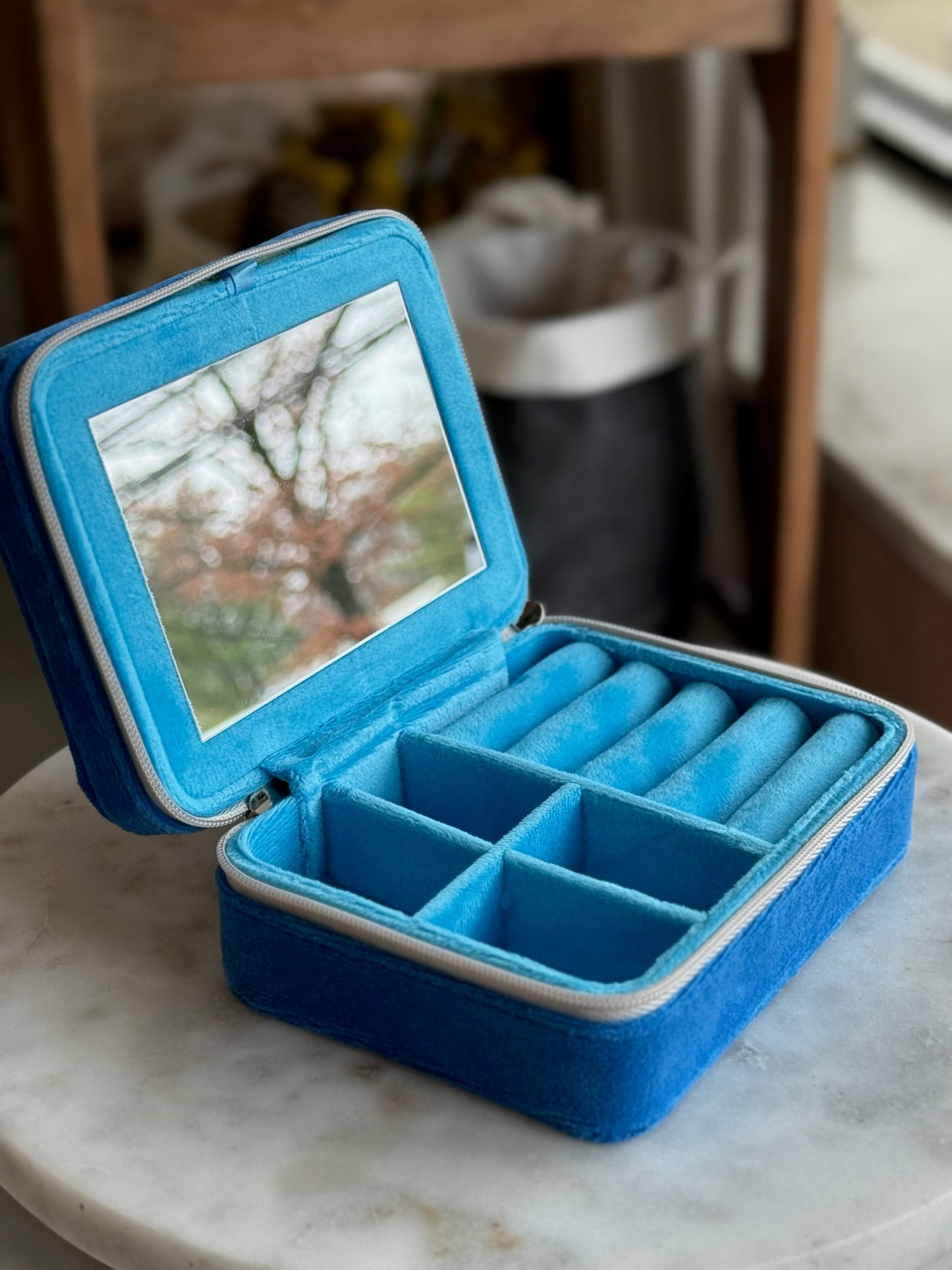 Sardine Jewelry Zip Case