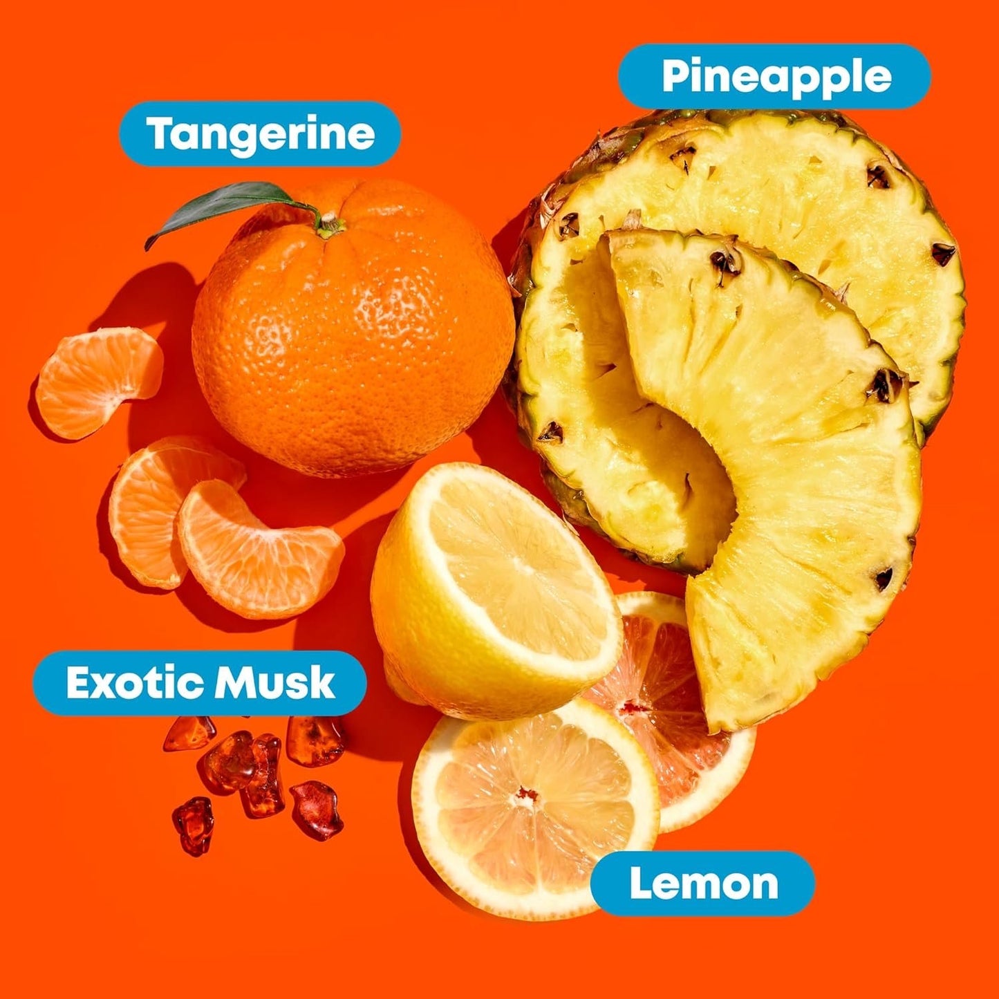 Matrix X Little Miss Sleek Kit