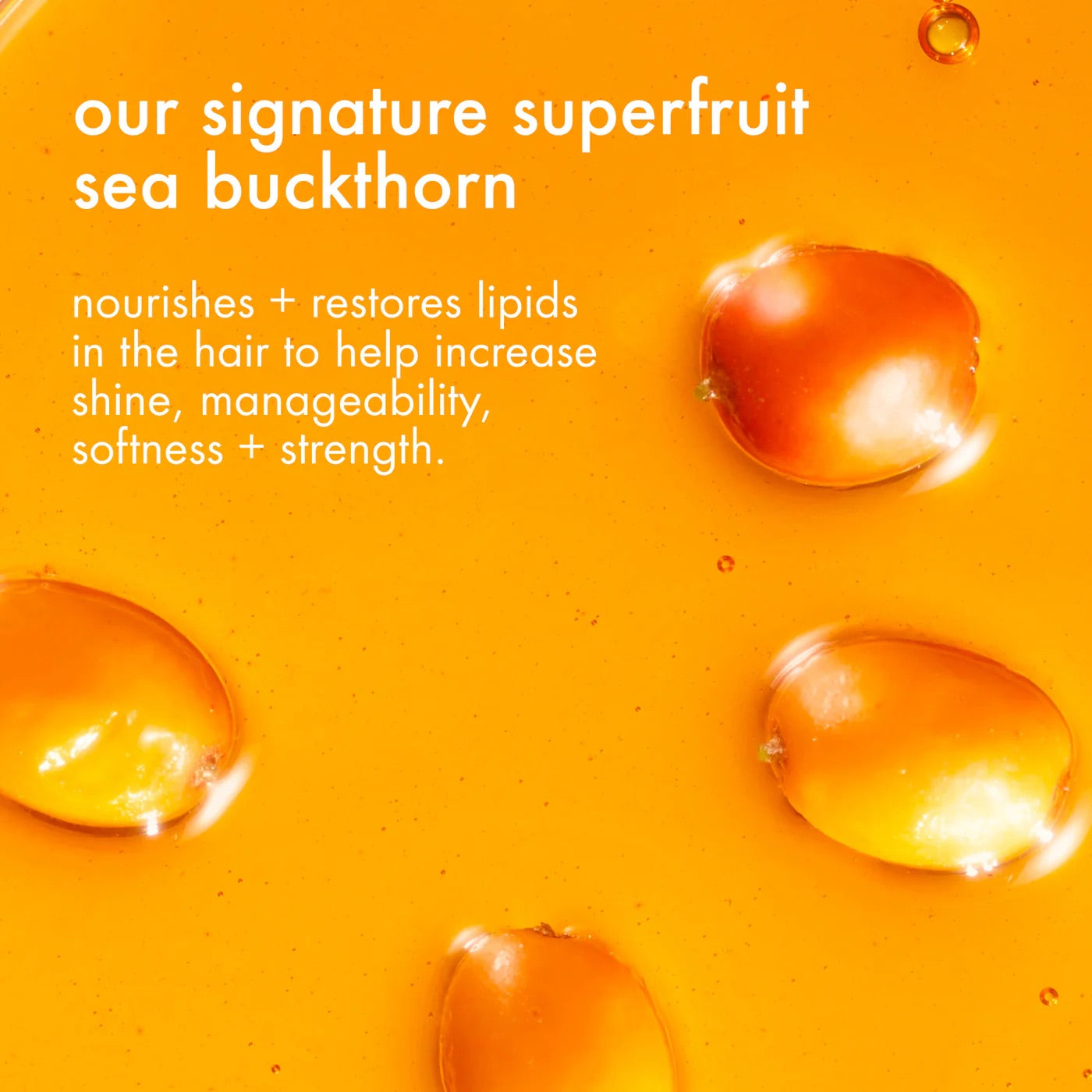 amika super-sized frizz fighters set anti-frizz shampoo, conditioner + treatment