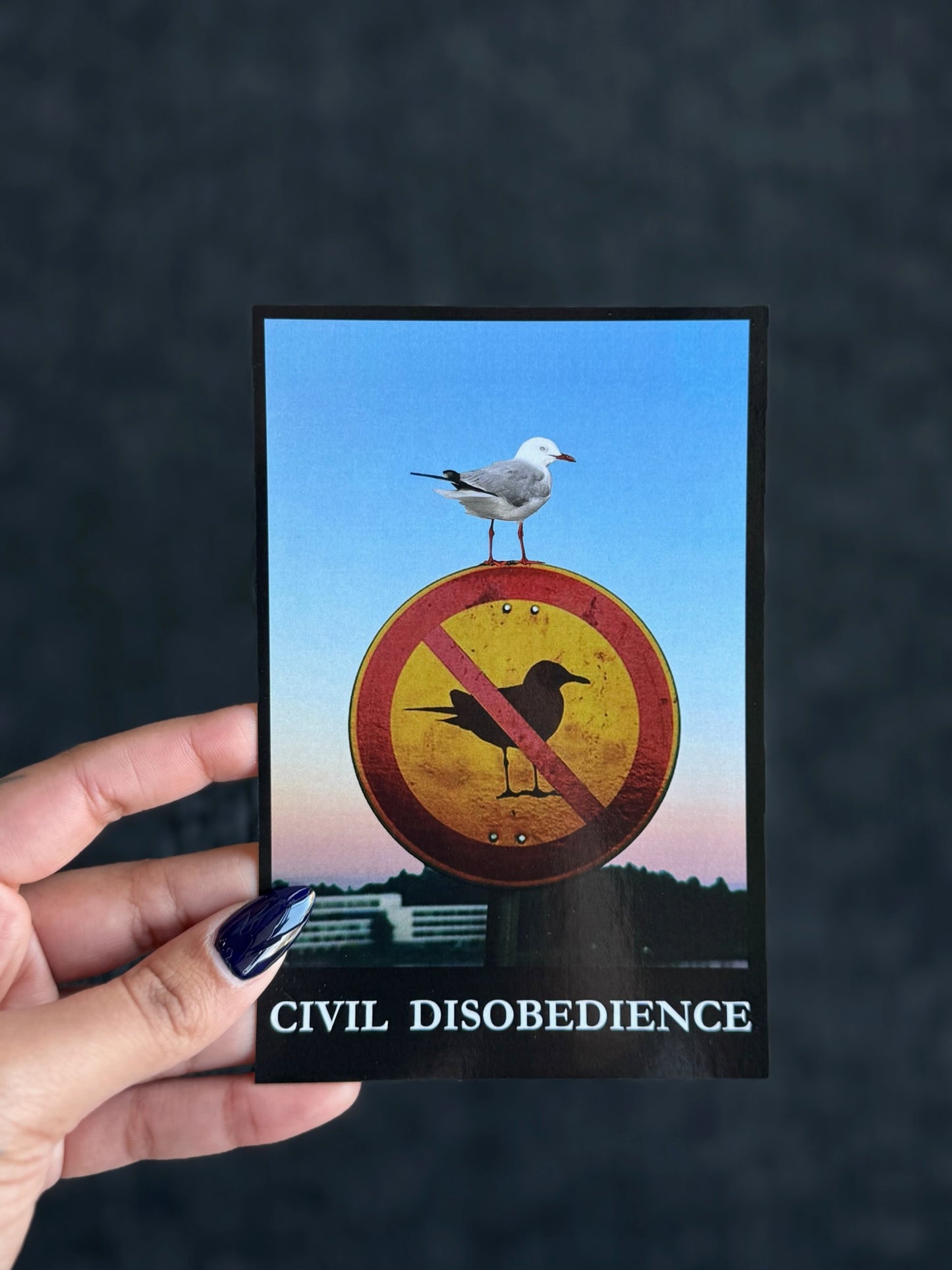 Graphic Postcards * Multiple Options *