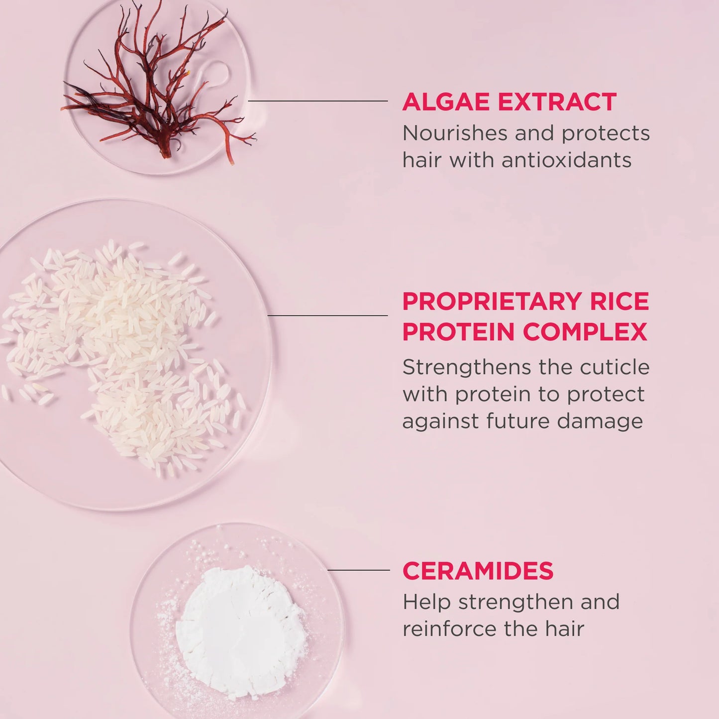 Briogeo Don't Despair, Repair!™ Rice Protein + Algae Rich Rice Water Shampoo Concentrate with Key